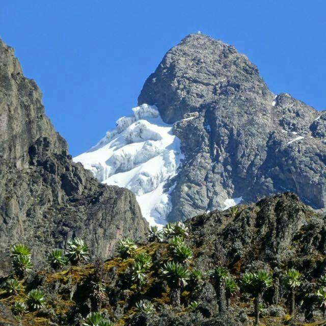 mountaineer-exploring-a-glacier